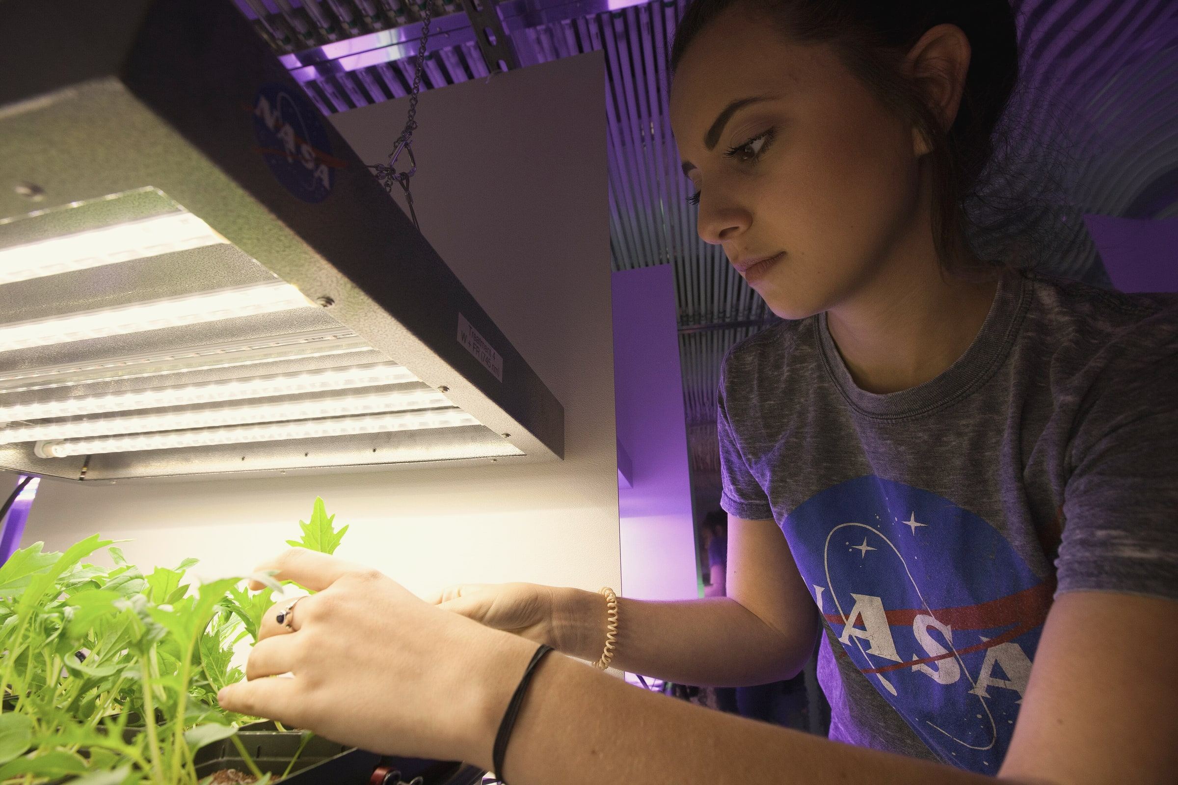 A student tending plants under grow lights in a NASA research lab at Kennedy Space Center