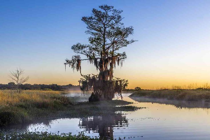 Golden hour over a Kissimmee-area lake